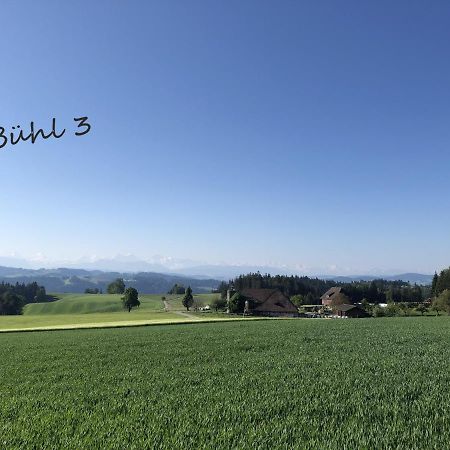 Vila Buehl 3 Affoltern Am Albis Exteriér fotografie