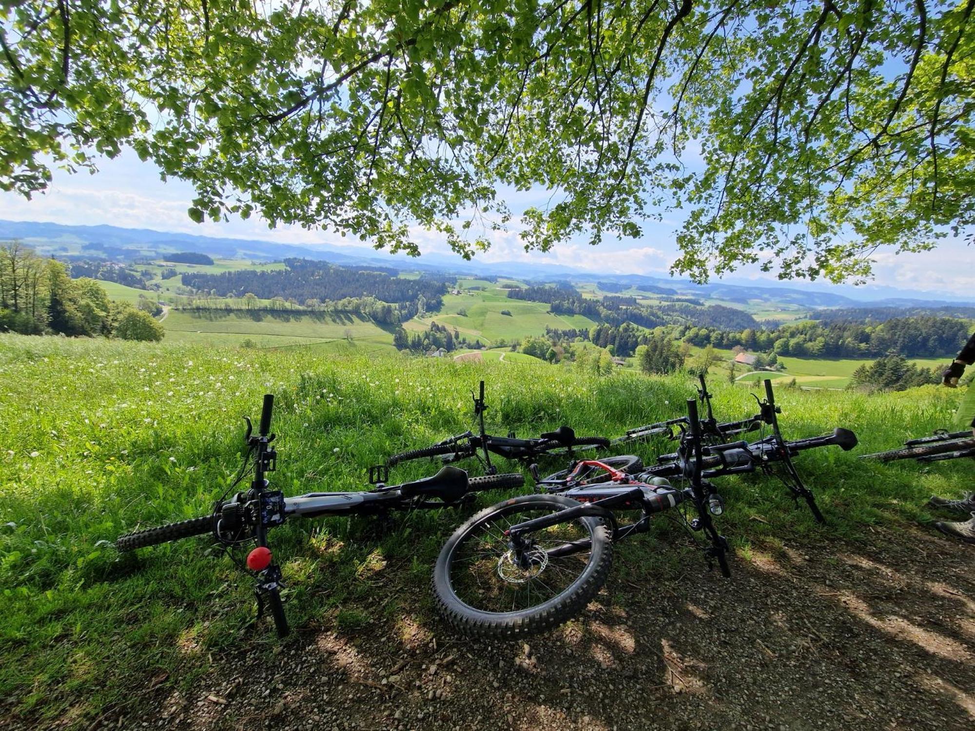 Vila Buehl 3 Affoltern Am Albis Exteriér fotografie