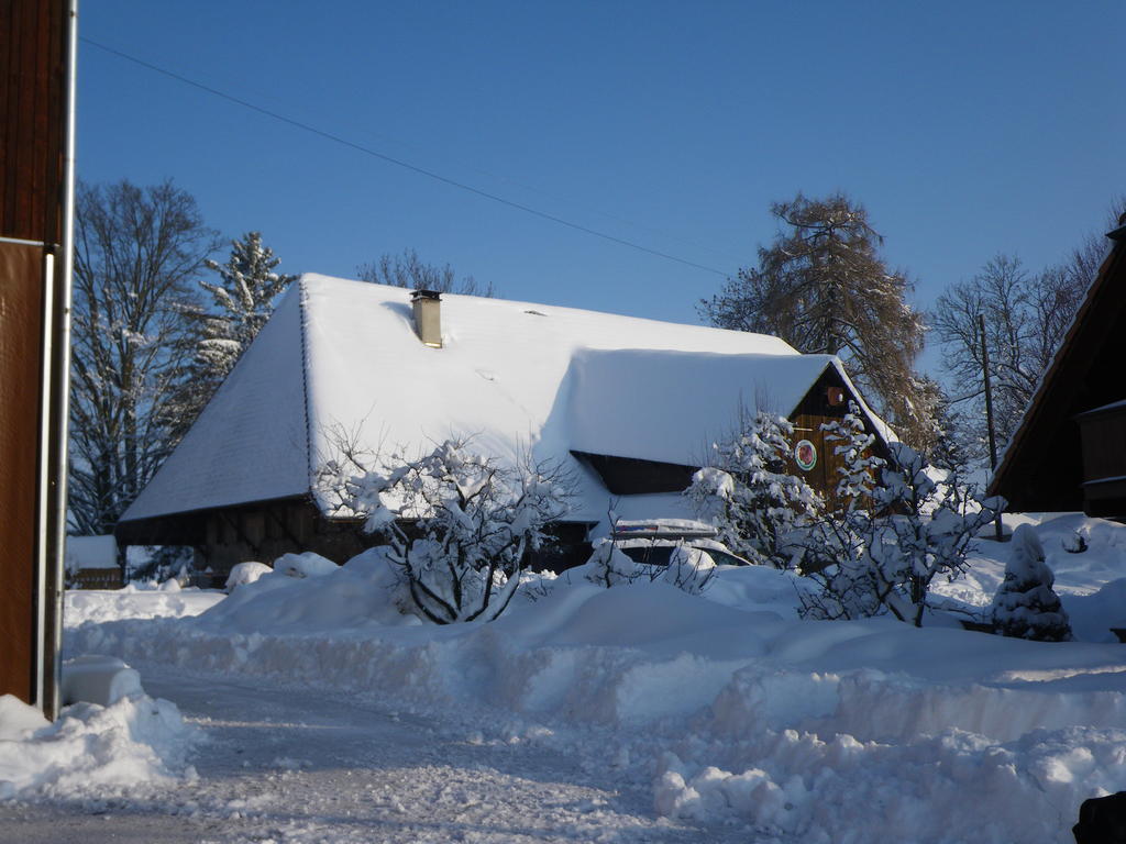 Vila Buehl 3 Affoltern Am Albis Exteriér fotografie