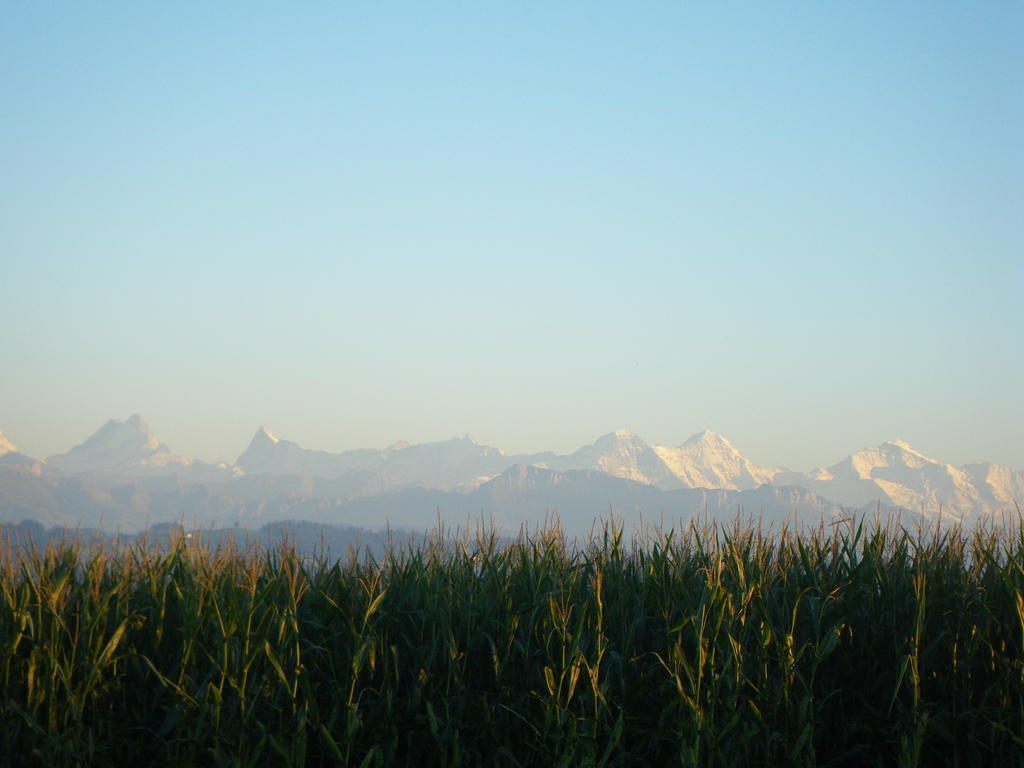 Vila Buehl 3 Affoltern Am Albis Exteriér fotografie