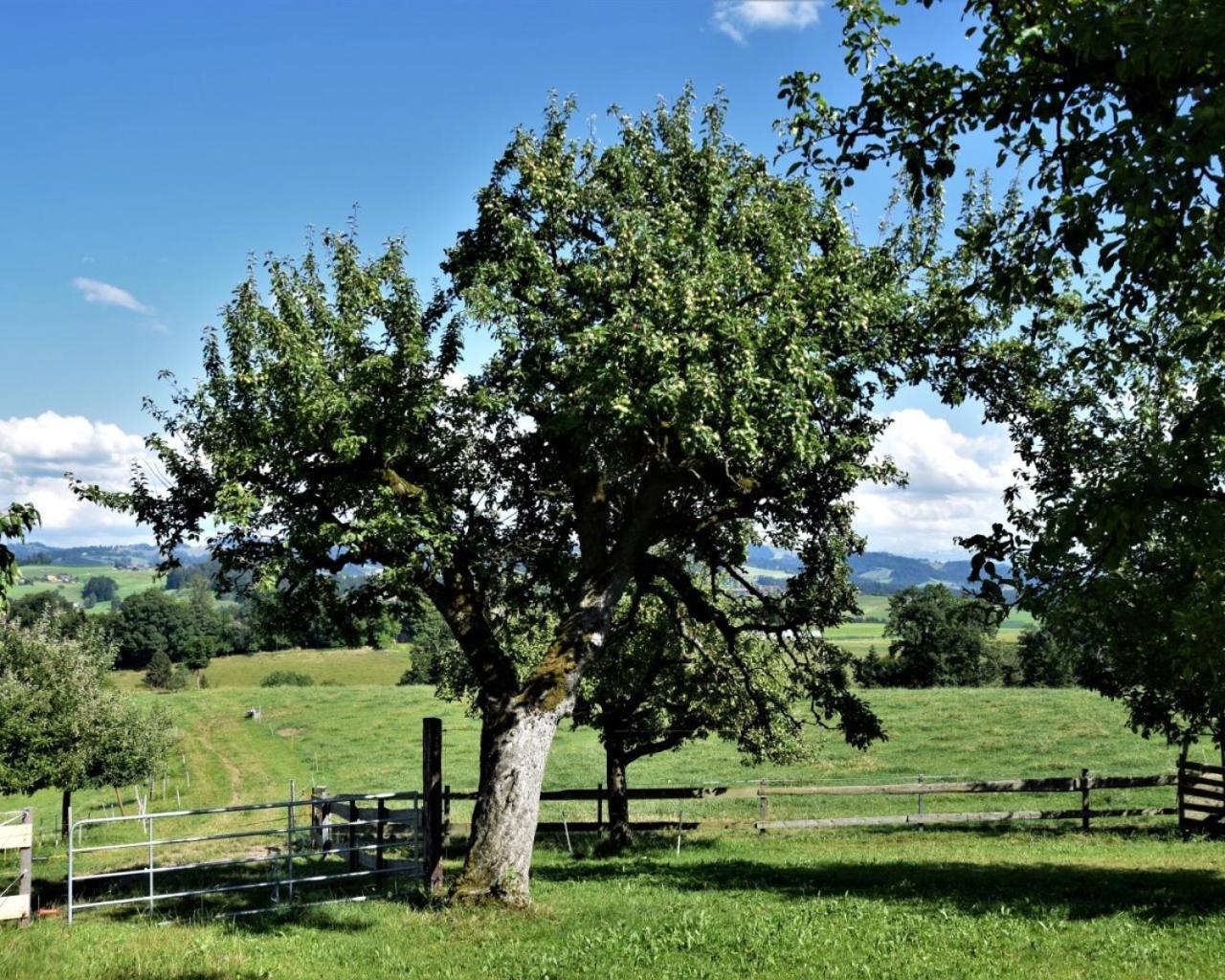 Vila Buehl 3 Affoltern Am Albis Exteriér fotografie