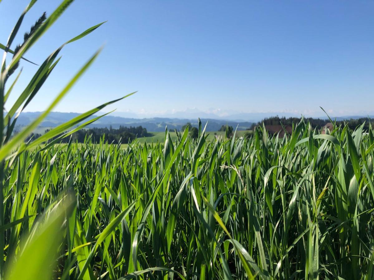 Vila Buehl 3 Affoltern Am Albis Exteriér fotografie