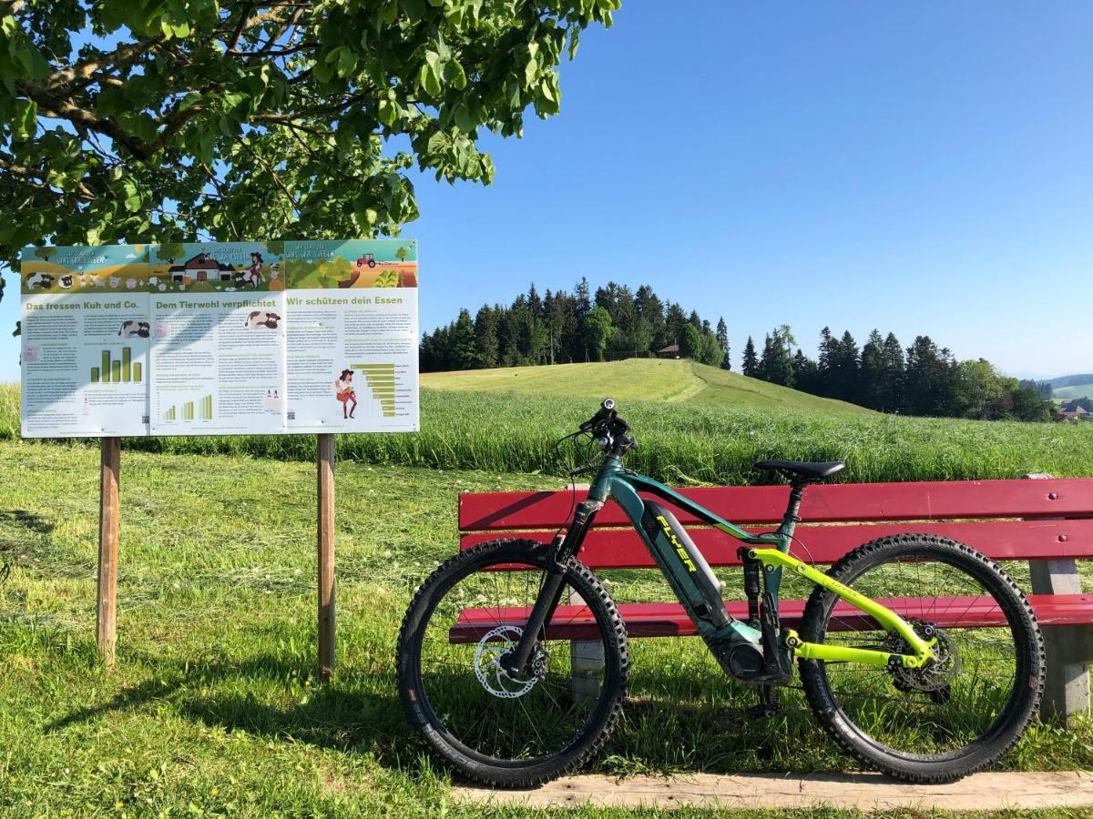 Vila Buehl 3 Affoltern Am Albis Exteriér fotografie