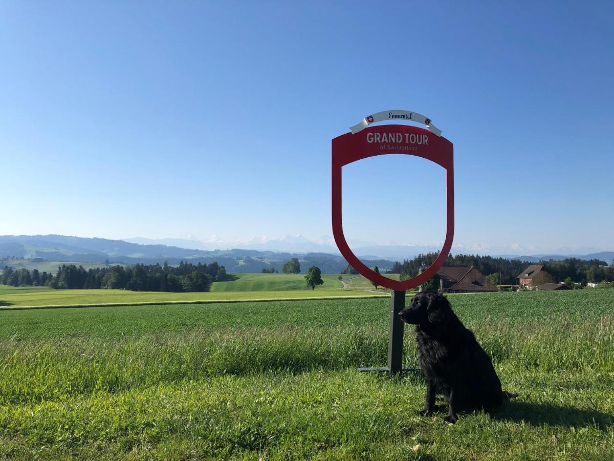 Vila Buehl 3 Affoltern Am Albis Exteriér fotografie