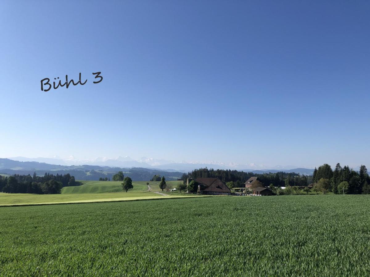 Vila Buehl 3 Affoltern Am Albis Exteriér fotografie