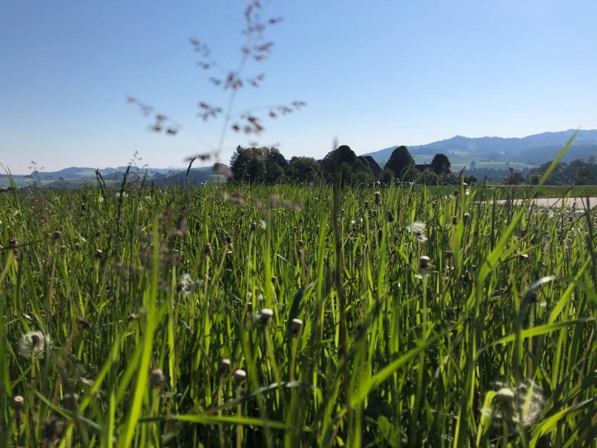 Vila Buehl 3 Affoltern Am Albis Exteriér fotografie