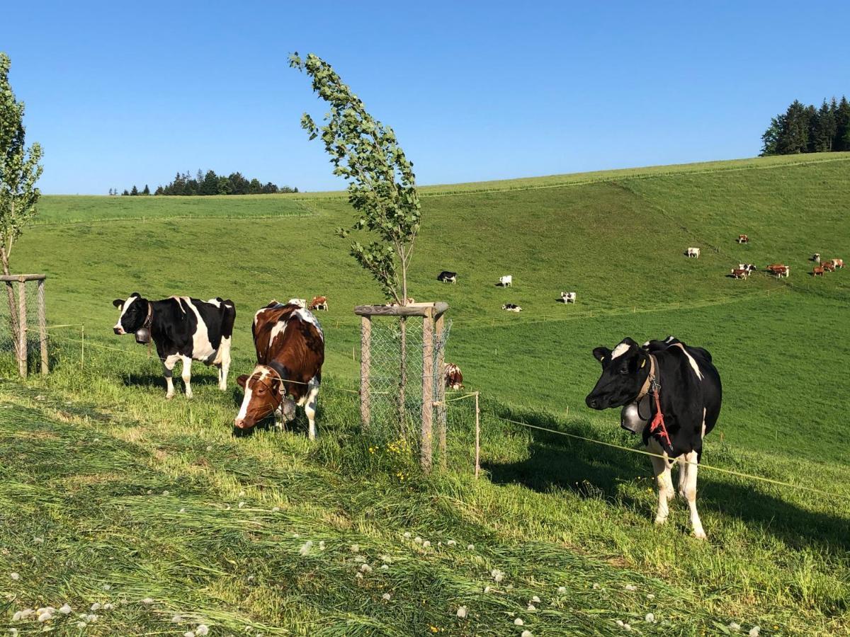 Vila Buehl 3 Affoltern Am Albis Exteriér fotografie