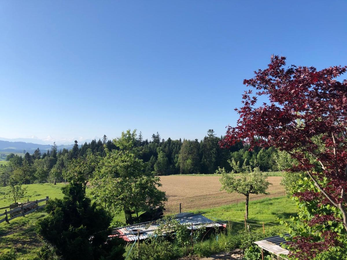 Vila Buehl 3 Affoltern Am Albis Exteriér fotografie